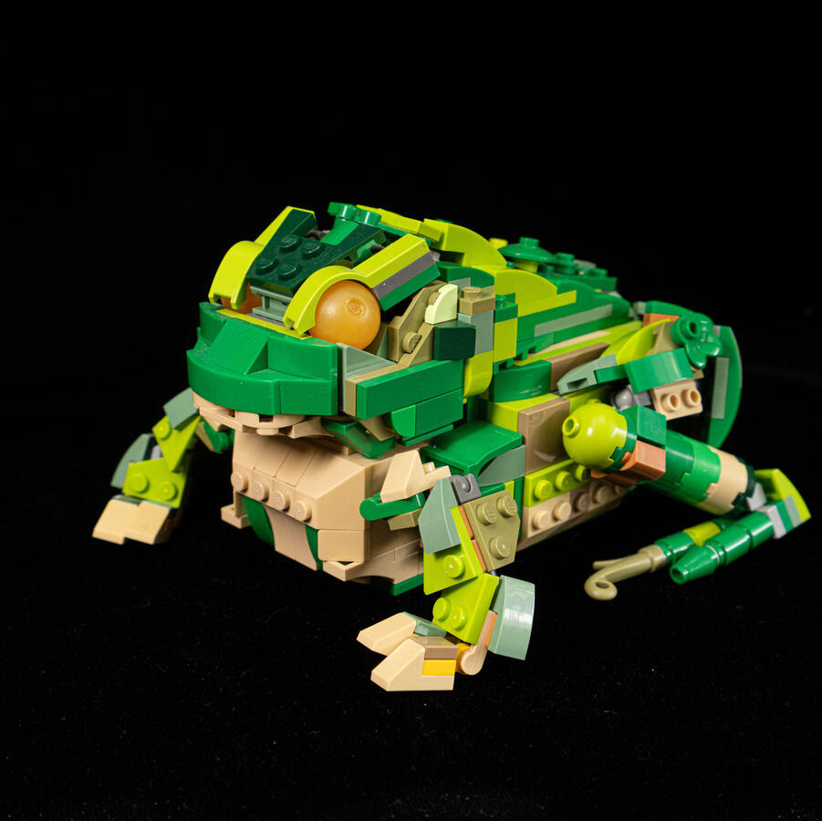 Toad Front